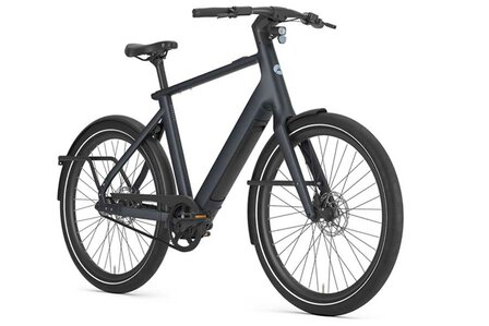 Gazelle Cayo C1 heren