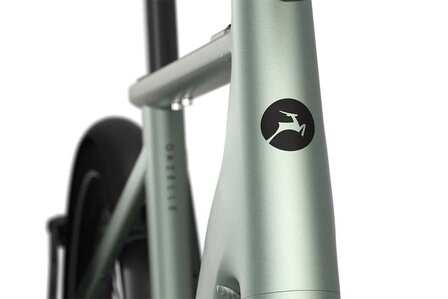 Gazelle Cayo C310