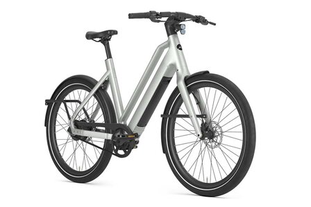 Gazelle Cayo C310