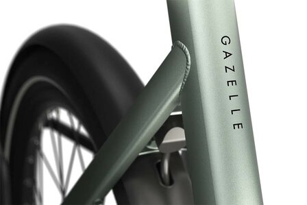 Gazelle Cayo C310