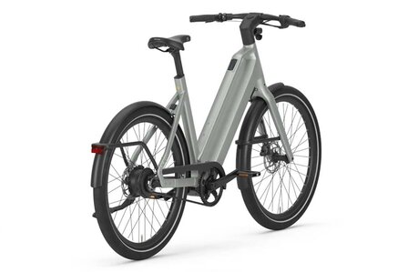 Gazelle Cayo C310