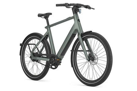 Gazelle Cayo C310