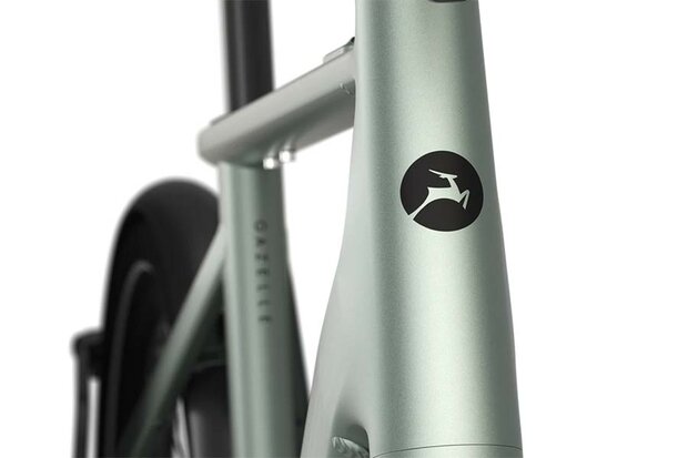 Gazelle Cayo C310