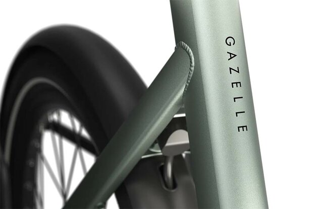 Gazelle Cayo C310