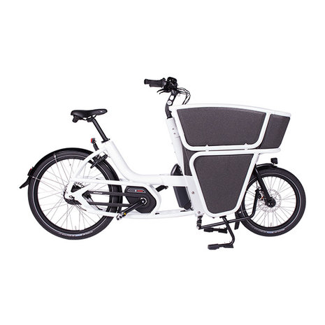 Urban Arrow Cargo elektrische bakfiets