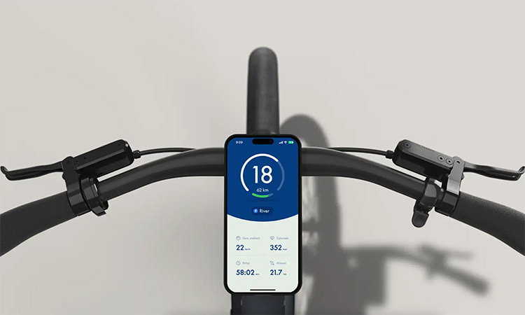 Gazelle Cayo cockpit