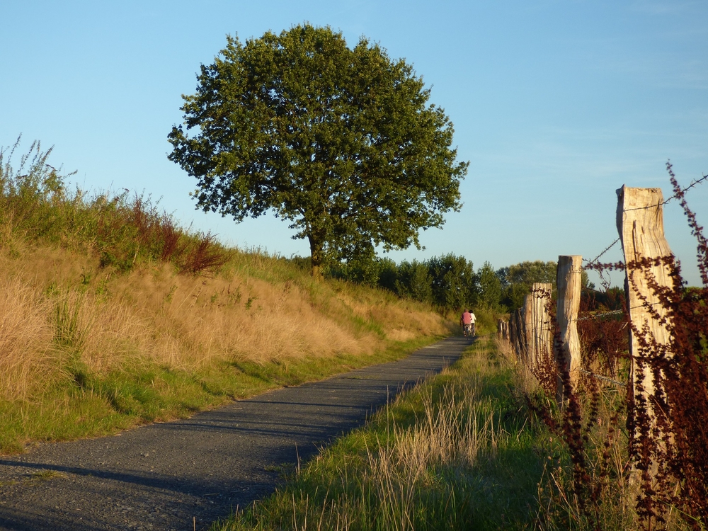 Brummen fietsen