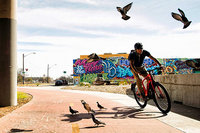 Review Trek Super Commuter+ speedbike